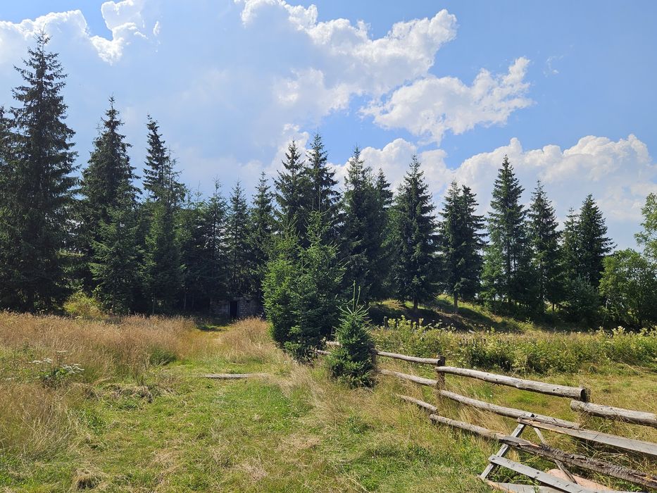 Teren Dealu Negru de vanzare, la 3 km de Belis