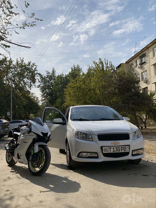 Yamaxa r6  500cc