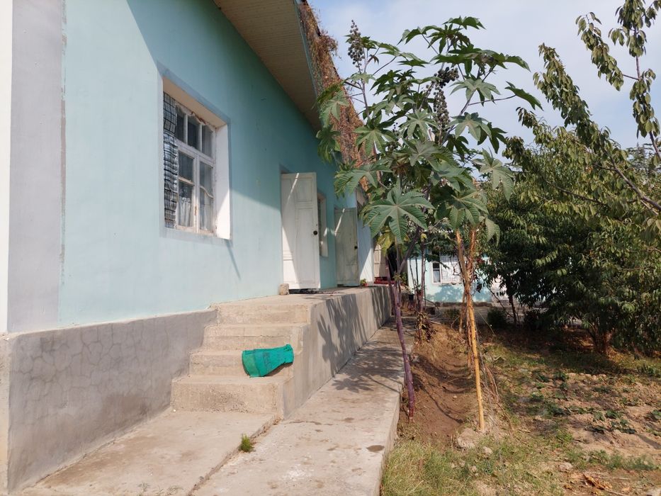 Ховли сотилади тошкент влояати яанги йул туманида