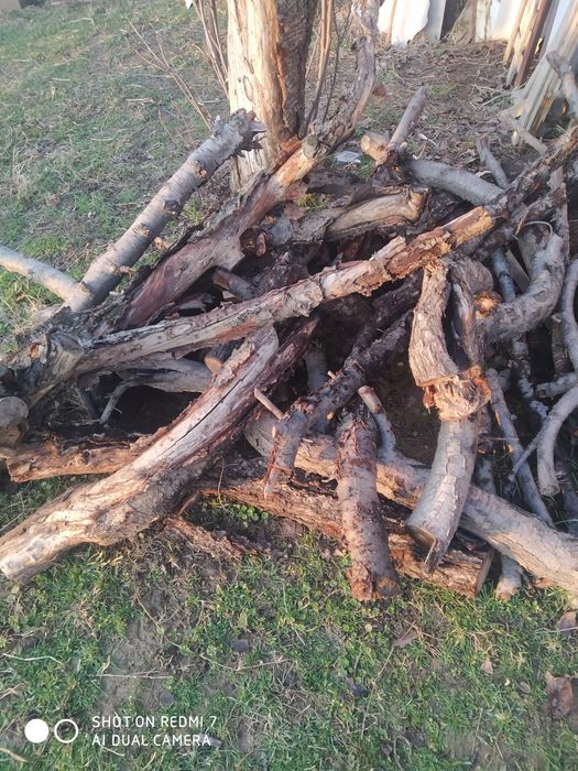 Продам дрова 250 тысяч сум