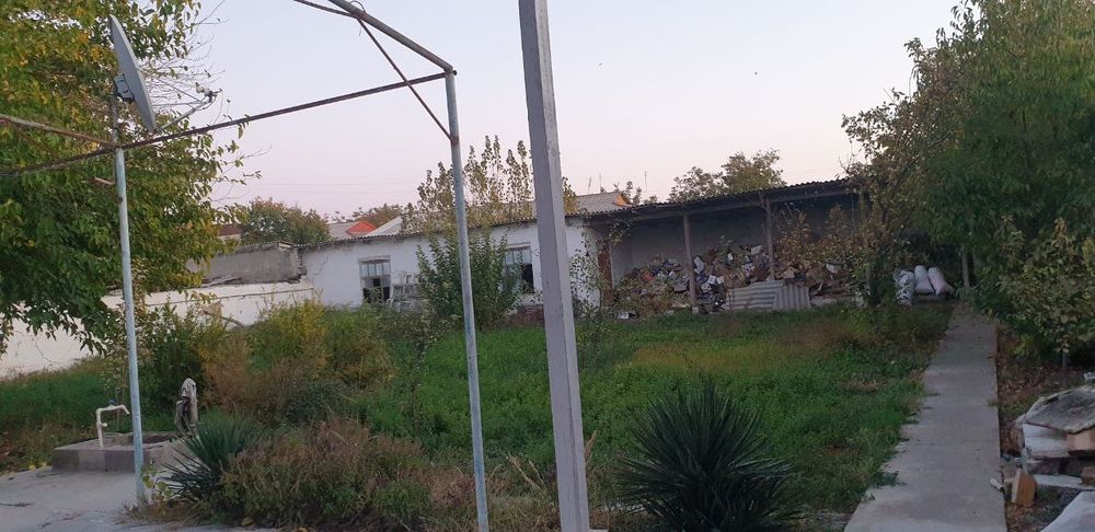 Самарканд вилояти Иштихон тумани Мурад Жўраев кўчаси 15 Уй

12 сутик 1