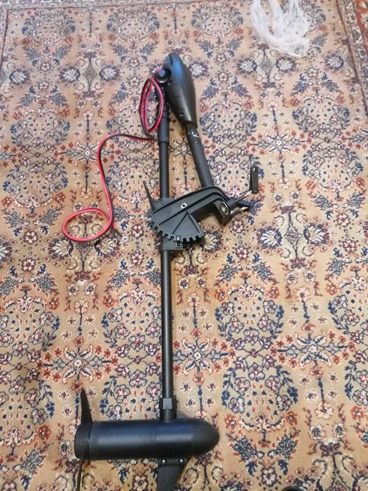 Електрически Мотор HASWING