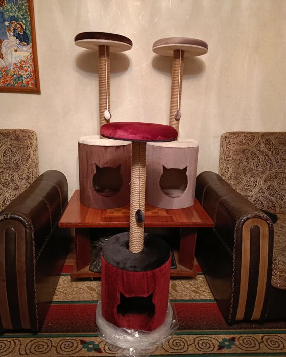 Когтеточки, домики