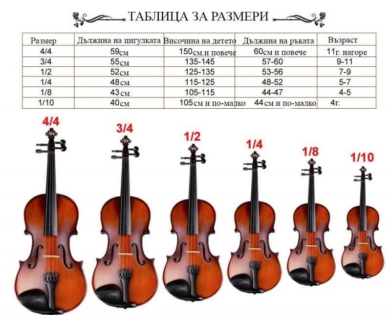 Цигулка, размер  1/2