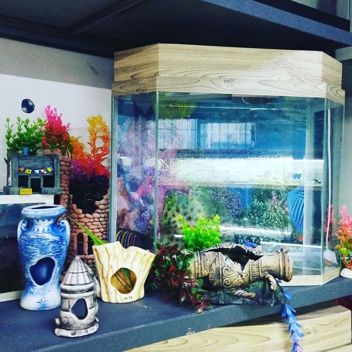 Аквариум с крышкой и лампой