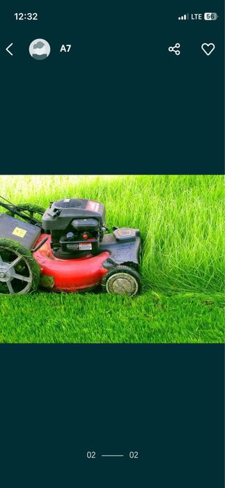 Стрижка газона, елок, деревьев