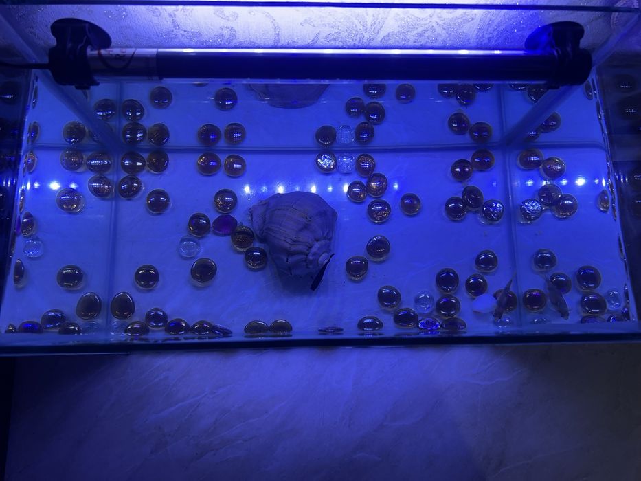 Аквариум 18 литер продается