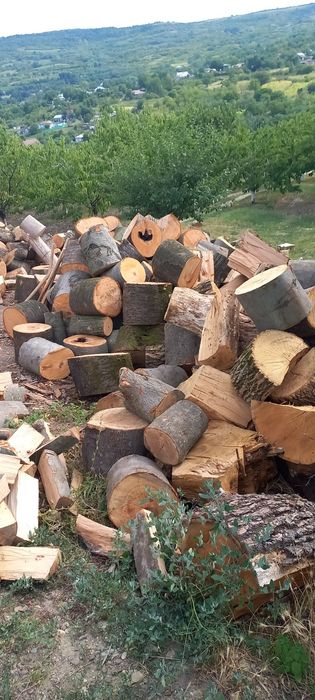 Aducem la comandă lemne de foc esența tare sau moale