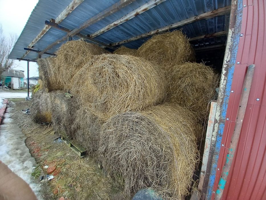 Vănd  Baloți  cu lucerna de calitate