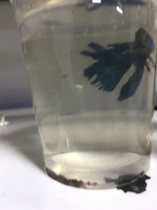 Юбки петушки разного цвета