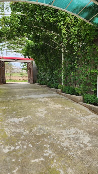 Дача семейный Окбуйра горы