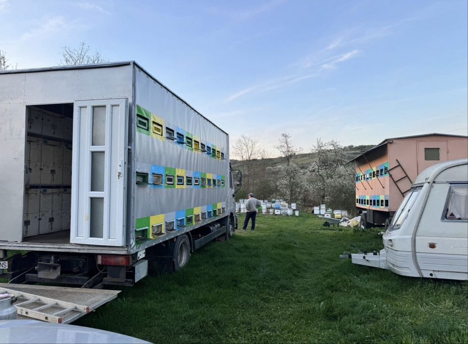 Miere naturala - Miere Poliflora