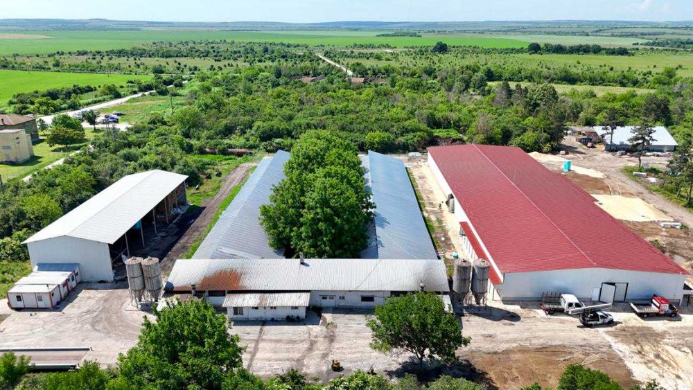 Действаща птицеферма за продажба в с. Борисово