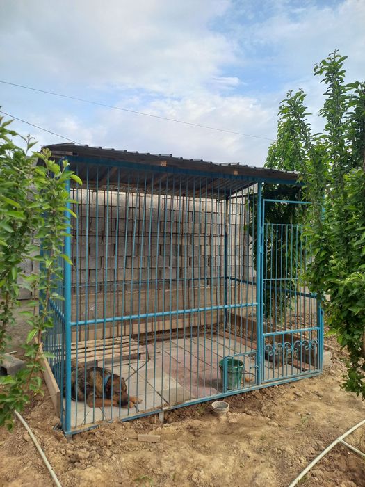 Вольер для собак