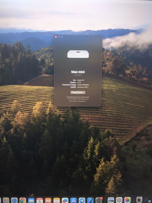 Mac mini M1 8/256