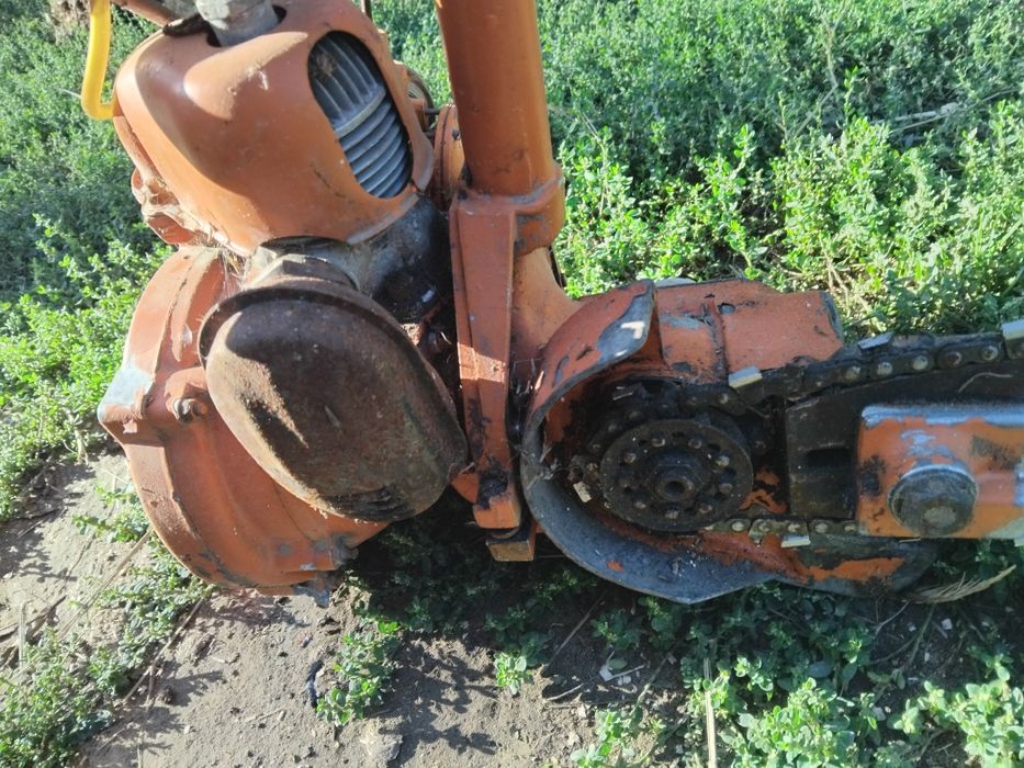 Drujba ruseasca de colecție