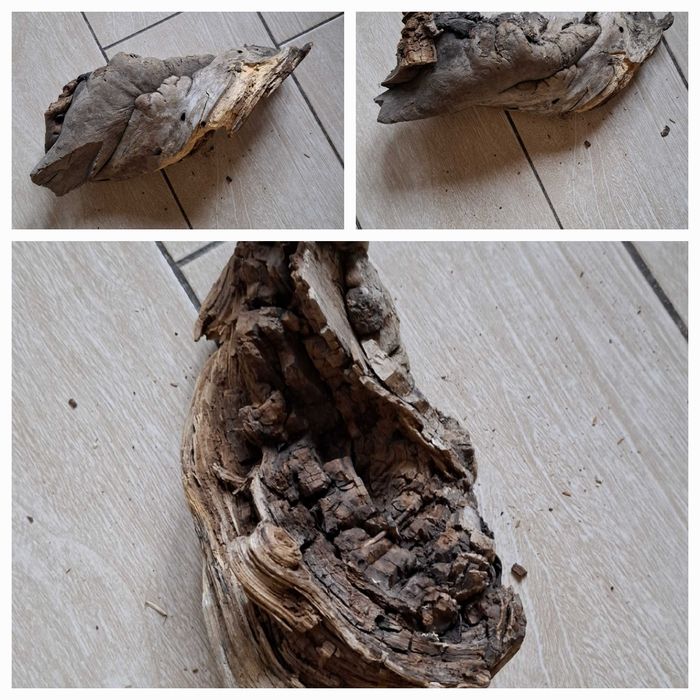 коряги разные для поделок или декора