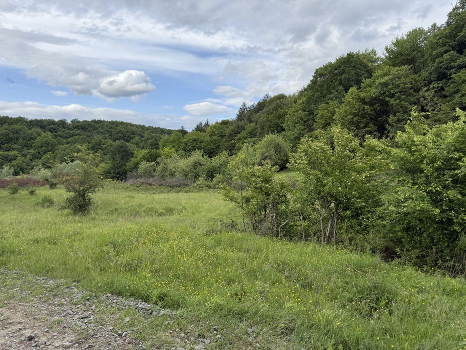 Teren Intravilan 8400 mp Budesti - Rm Valcea toate utilitatile 10€