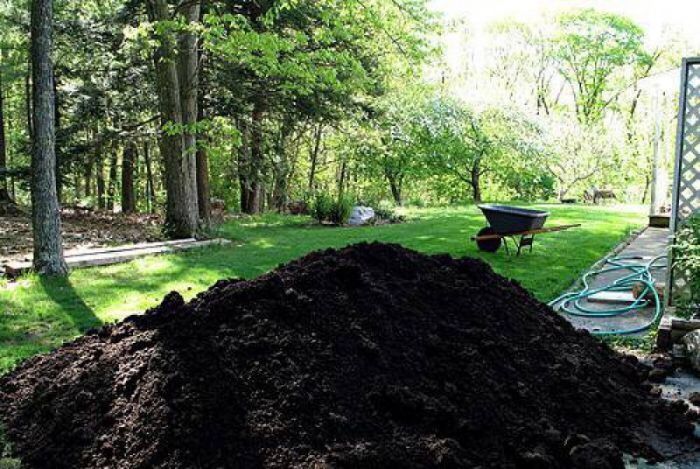 Чернозём для вашего сада (Биогумус)