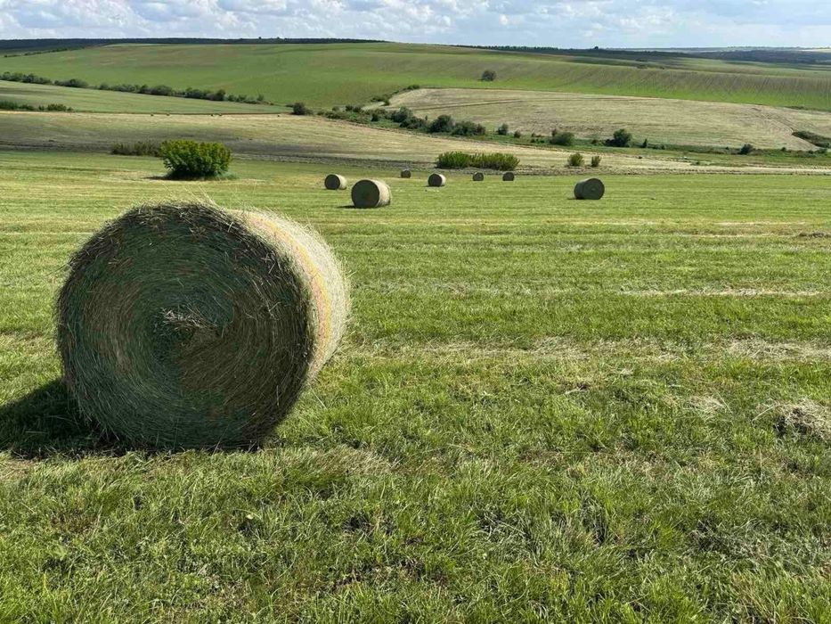 Рулонни бали с размер 120/120 см.