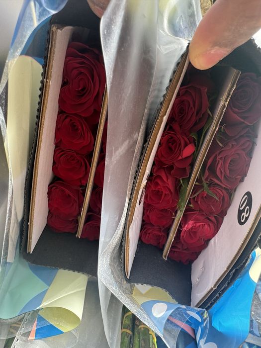 Розы оптом и в розницу