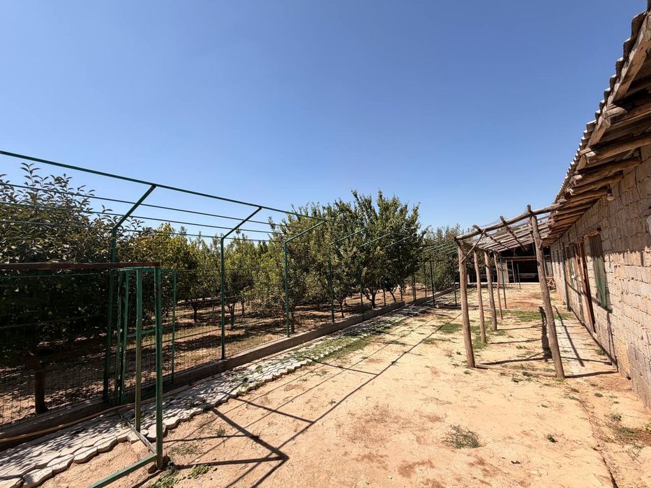 Turkistonda uchastka sotiladi