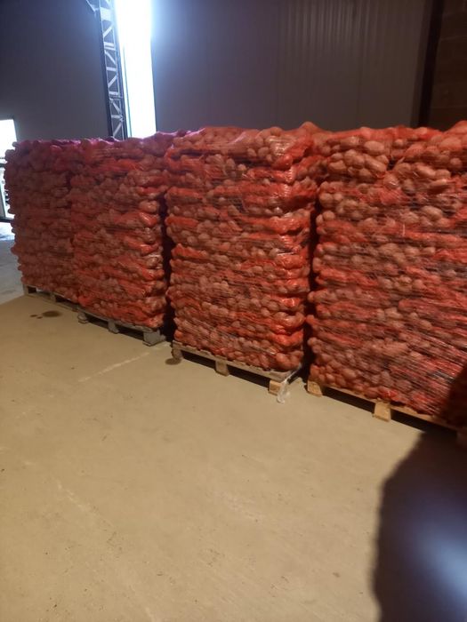 Cartofi Franta, de consum si de plantat.