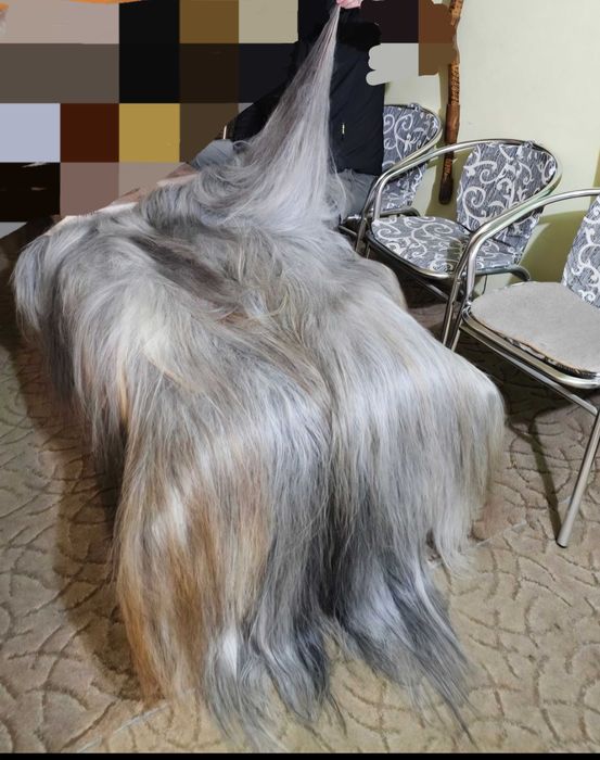 Кожи за кукерски фестивал