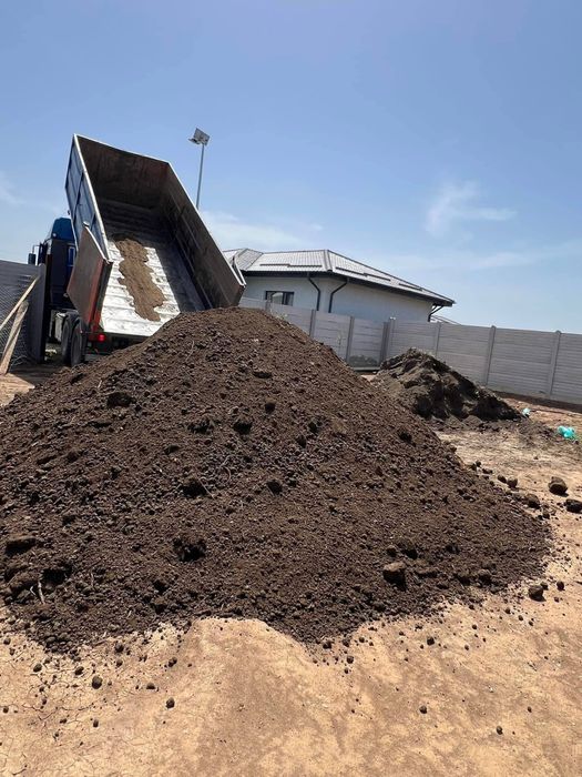 Pamant negru maruntit  /mranita