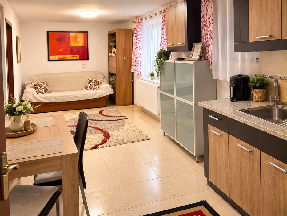 apartament de inchiriat zona Pacurari 450€ cu tot cu utilități