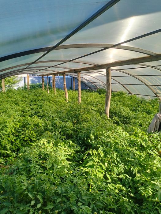 Продам быстро сборный теплицу