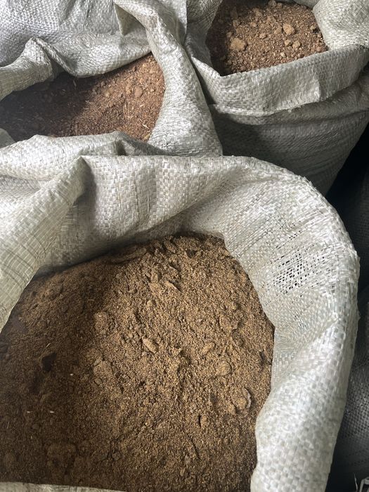 Продам пщеница лён шрот рапсовый гранула