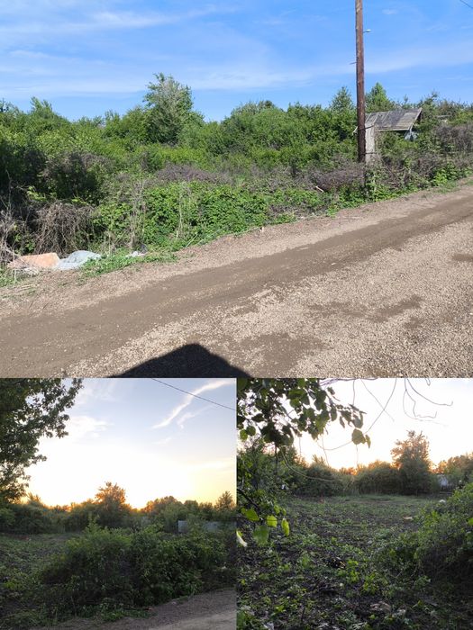 спил деревьев и кустарников