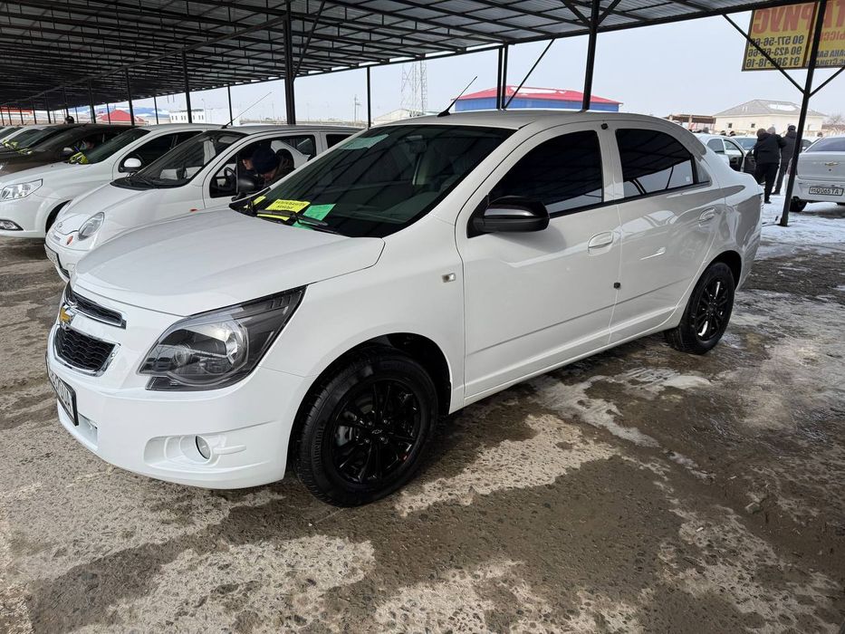 Кобльт 2025 жил 6700 пробек