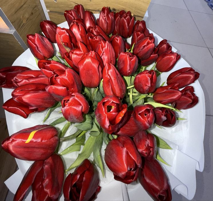 Тюльпан 51 шт новый