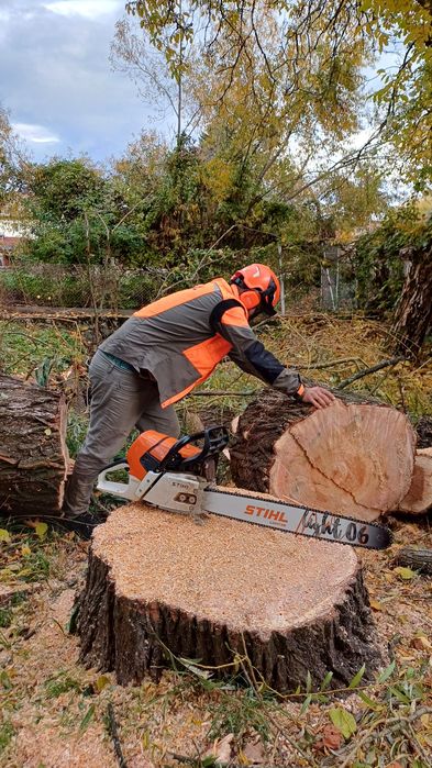 Рязане на високи опасни дървета