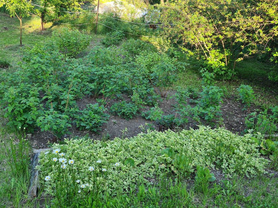 Продам дачу с/о Берёзка,  р-н ГЭС