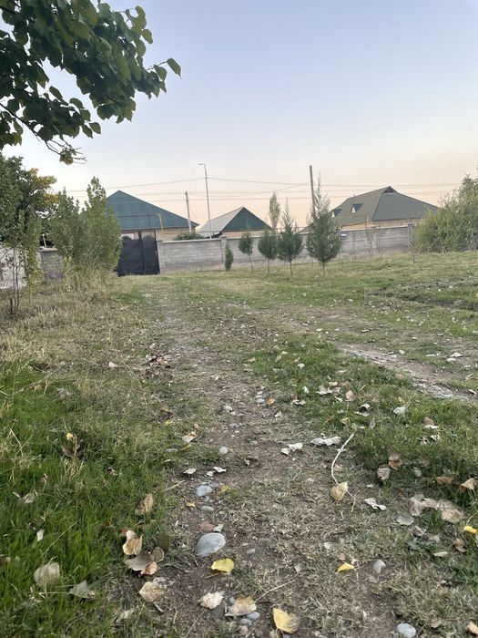Ферма 1000 м2 с Домом