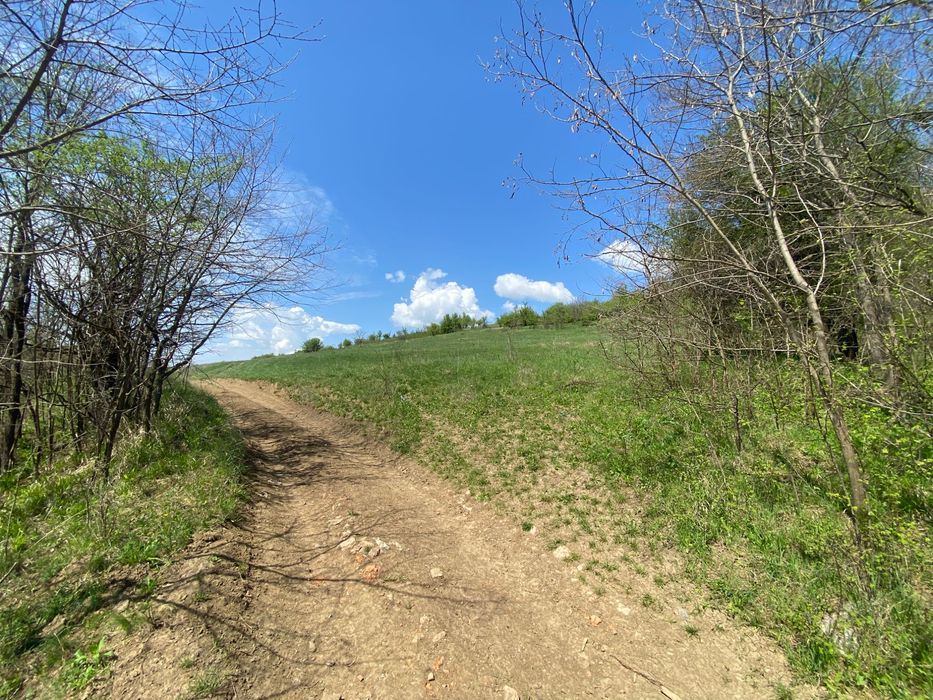 Teren 14,61 ha de vânzare – Hălmeag, Brașov