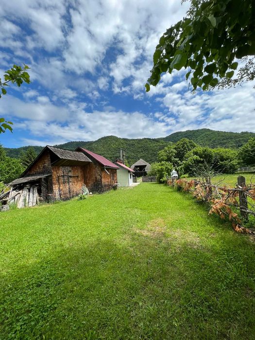 Teren la munte 2000 mp, 12m deschidere, Tarcău Neamț, Poiana Soarelui – casă din lemn neterminată, curent și livadă, la marginea pădurii - Vedere 4