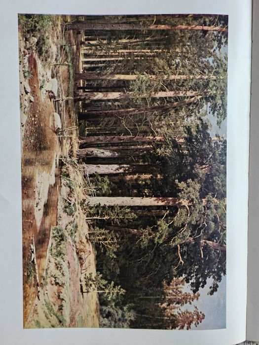 Русский музей. Исскуство