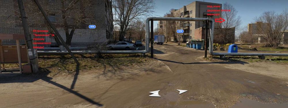 Бездомные котята