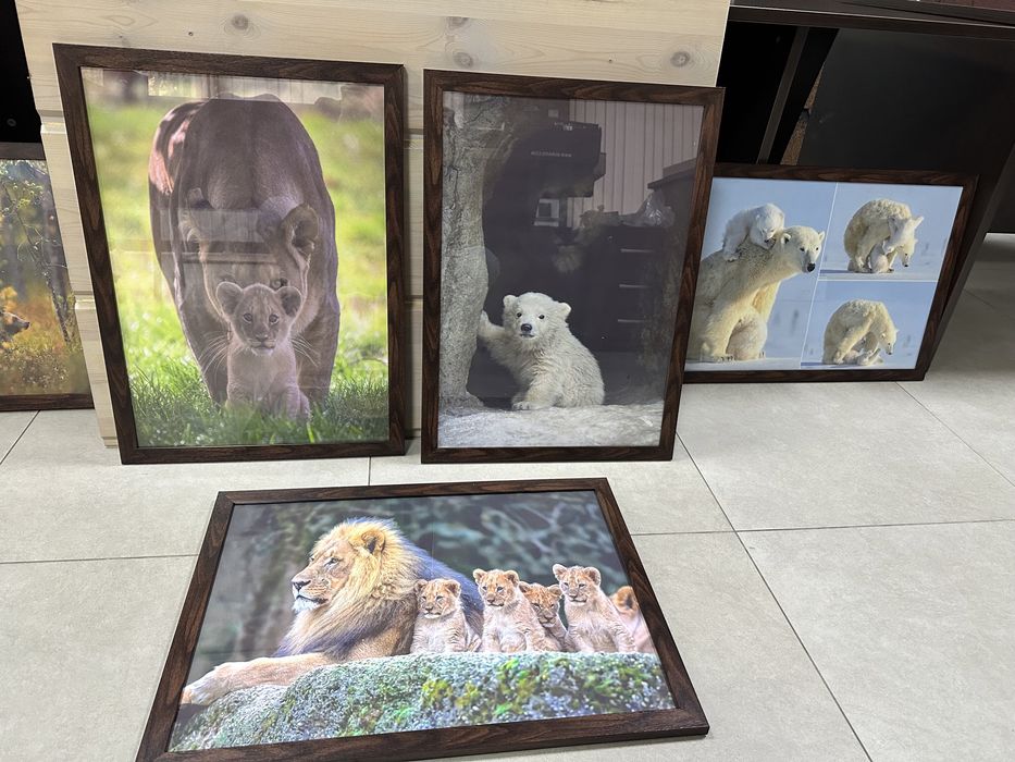 Картины (фото в рамках)