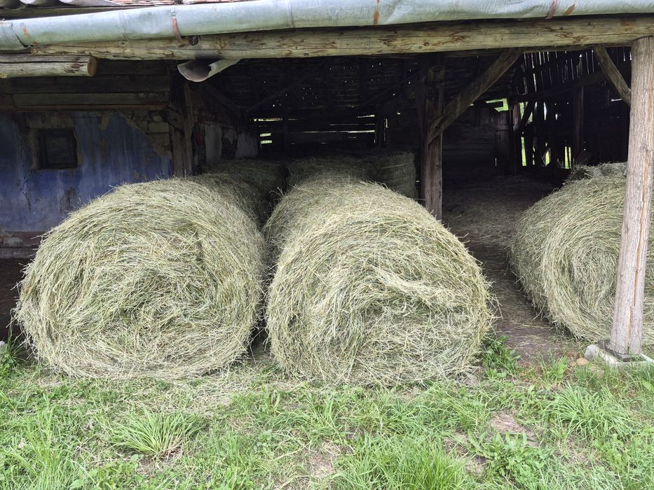 Baloti de lucerna cu certificat ECOLOGIC
