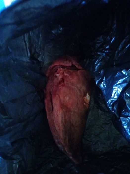Субпродукты ,Язык Печень ,Ножки ,Легкое