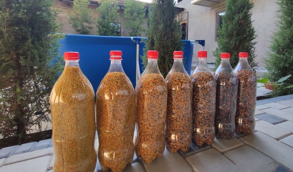 Цветочная пыльца при анемии