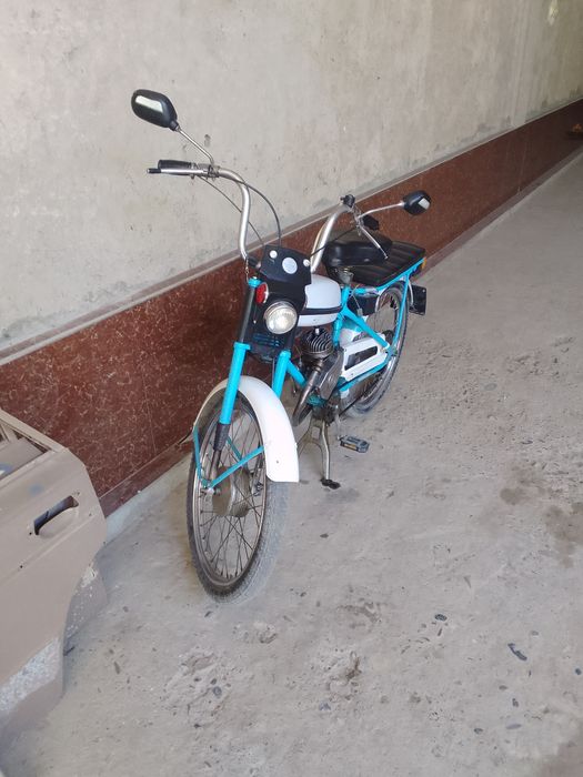 Velamaped 1990hrididiid