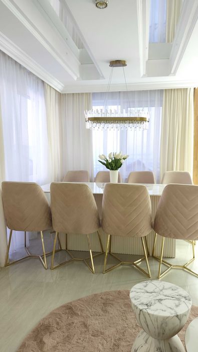 Scaune dinnig...catifea ..