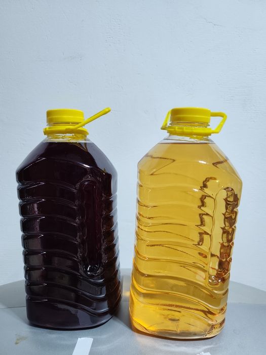 Struguri de vin 2025