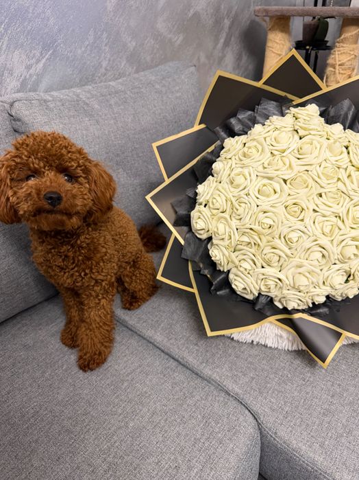 Промо! Букети 101 рози за подарък